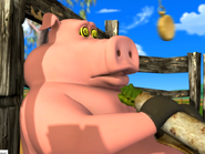 Hypnopig