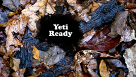 Yeti Ready