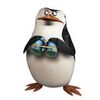 Skipper, the Penguin.jpg