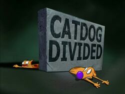 CatDog Divided.jpg