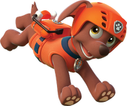 PAW Patrol Live! - Zuma is a playful Labrador pup. This energetic beach  puppy is the PAW Patrol's water rescue dog! 🌊 Zuma loves to laugh and  surf. You can catch Zuma