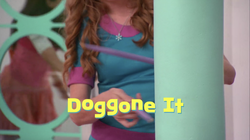 Doggone It Title Card