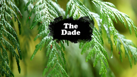 The Dade
