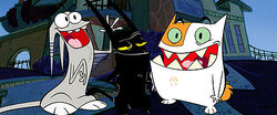 Catscratch Promotion