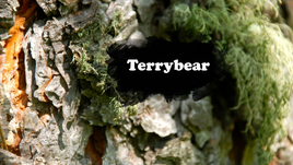 Terrybear