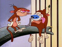 Monkey ren and monkey stimpy