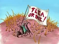 Flea or Die!