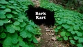 Title-BarkKart