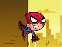 SpiderTimmy