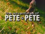 The Adventures of Pete & Pete