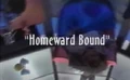 Homewardbound