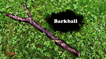 Barkball