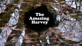The Amazing Harvey
