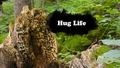 Title-HugLife