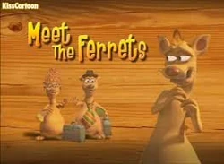 Meetferrets
