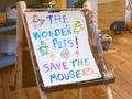 Save the Mouse!