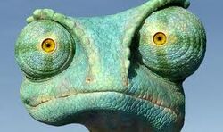 Rango face