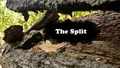 Title-TheSplit