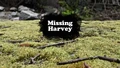 Missing Harvey Title Card