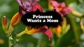 Title-PrincessWantsAMom