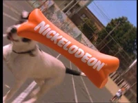 Nickelodeonbone