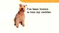January/ February 1997 "I've been known to toss my cookies"
