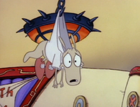 Rocko Wedgie