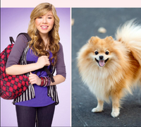 Sam Puckett with a Pomeranian