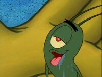 Plankton! Gallery (25)