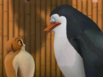 Madagascar Mort Schattig