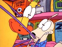 Rocko's Modern Life (3)