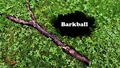 Title-Barkball