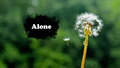 Title-Alone