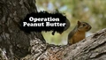 Title-OperationPeanutButter
