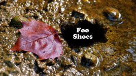 Foo Shoes