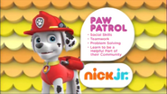 Paw Patrol