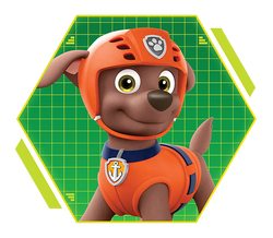 of PAW Patrol characters | Wiki |