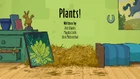 Plants!