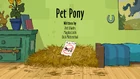 Pet Pony