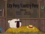 City Pony + Country Pony