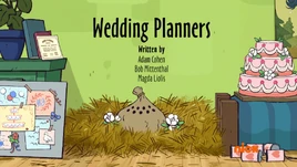 24b Weddings Planners