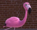 OGD0453 pinky