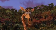 Melman