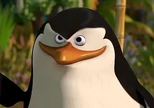 Skipper