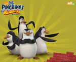 Sp wp penguinos 1280