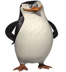 Skipper7