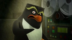 The Red Squirrel 00321