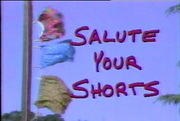 Salute Your Shorts logo