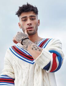 アイドル zayn Zayn | Nicki Minaj Wiki | Fandom