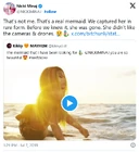 twitter post[4]